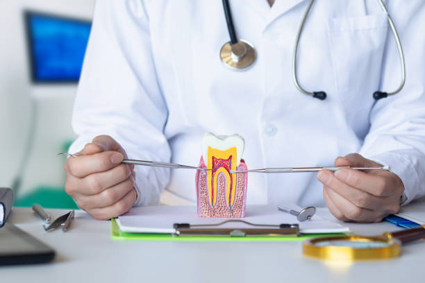 Best Emergency Dental Care for Trauma or Injury in Bren Bow, OK